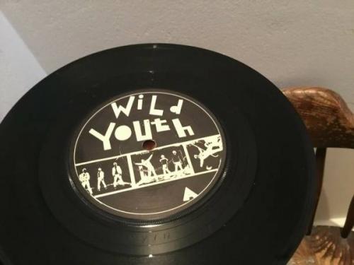 Wild Youth Wot    Bout Me Radio Youth rare South African Africa punk 7  single  79