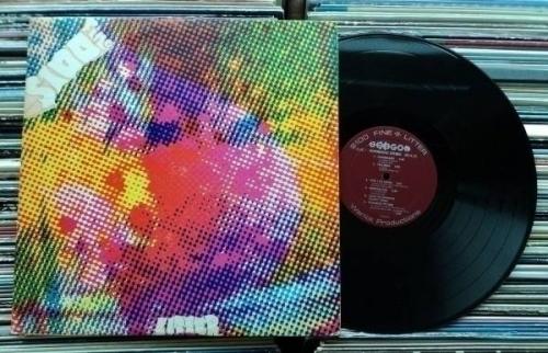 LITTER  100 Fine 681 LP Vinyl  1  Rare Original 1st Press Hexagon Garage Psych 