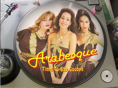 Arabesque Time To Say Goobye RARE 12  PICTURE DISC SINGLE LP SANDRA ITALO DISCO
