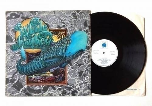 WHALEFEATHERS S T Rare 1971 Psych   Blues Vinyl LP EX VG Blue Horizon
