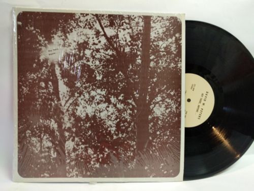 DAVID W PETERS hey there anyone LP     private loner psych folk     HEAR