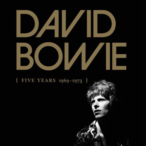 DAVID BOWIE FIVE YEARS 13 LP VINYL BOX SET BRAND NEW