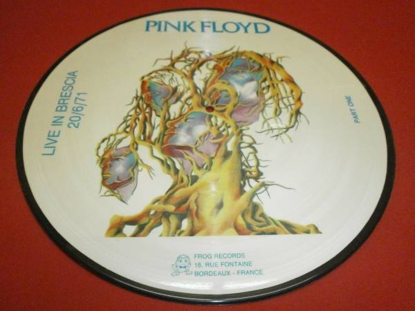 Pink Floyd  Live in Brescia 20 6 71 LP PART ONE Picture Disk come nuovo Raro 