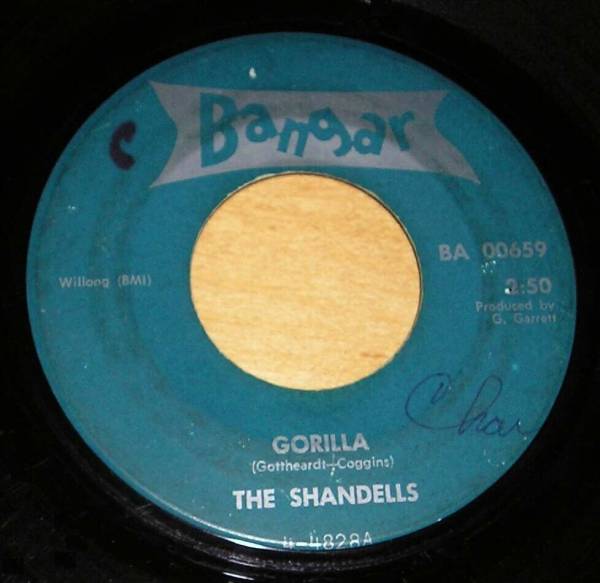 Killer 1964 WI Garage Garage Punk 45 THE SHANDELLS  Gorilla  BANGAR   5 SCREAMS 