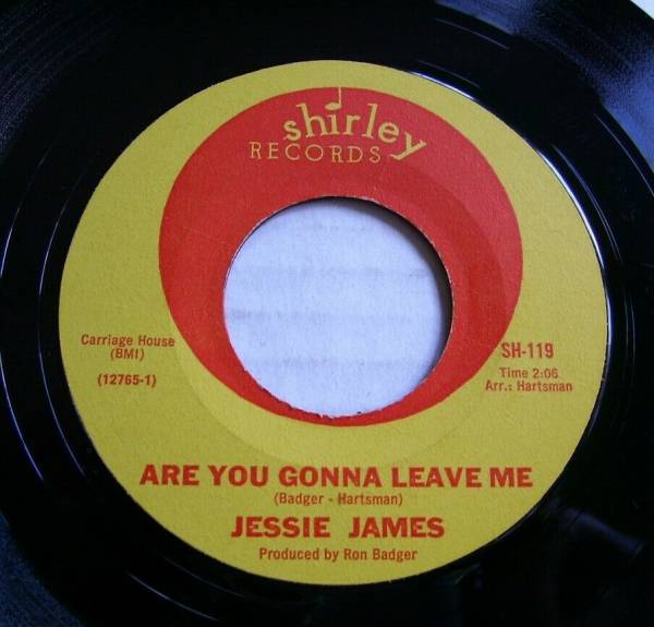 JESSIE JAMES Are You Gonna Leave Me SHIRLEY 1966 Ultra Rare Northern Soul 45 M  