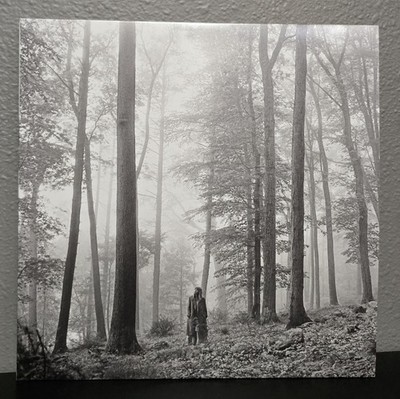 Taylor Swift Folklore  In the Trees  2LP Deluxe Edition Vinyl, Brown