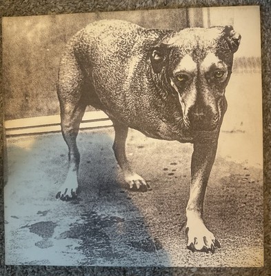 Alice in Chains Self-Titled Vinyl Tripod 2xLP US Pressing 1995 Excellent Cond.