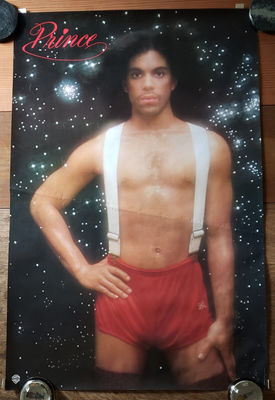 Prince  Prince  LP Promotional Poster 1979  Warner Bros  Records Inc  VERY RARE