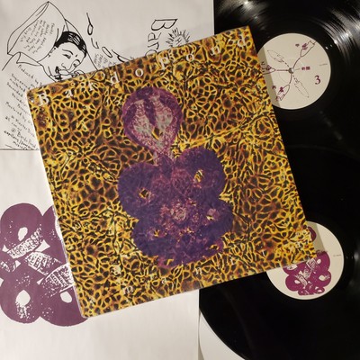 Bardo Pond Amanita 1996 2 LP Vinyl Records Matador Psychedelic Rock Shoegaze