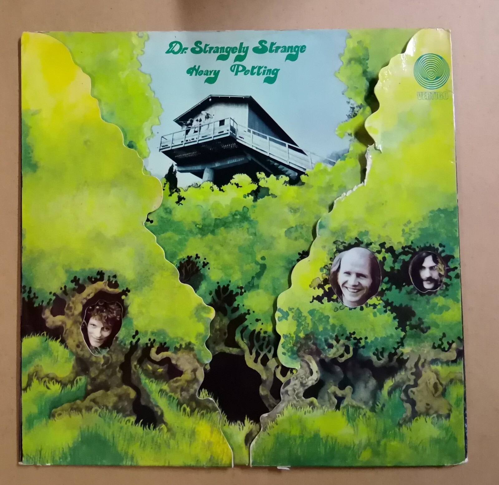 Dr. Strangely Strange  Heavy Petting   original German pressing lp 33 vinyl
