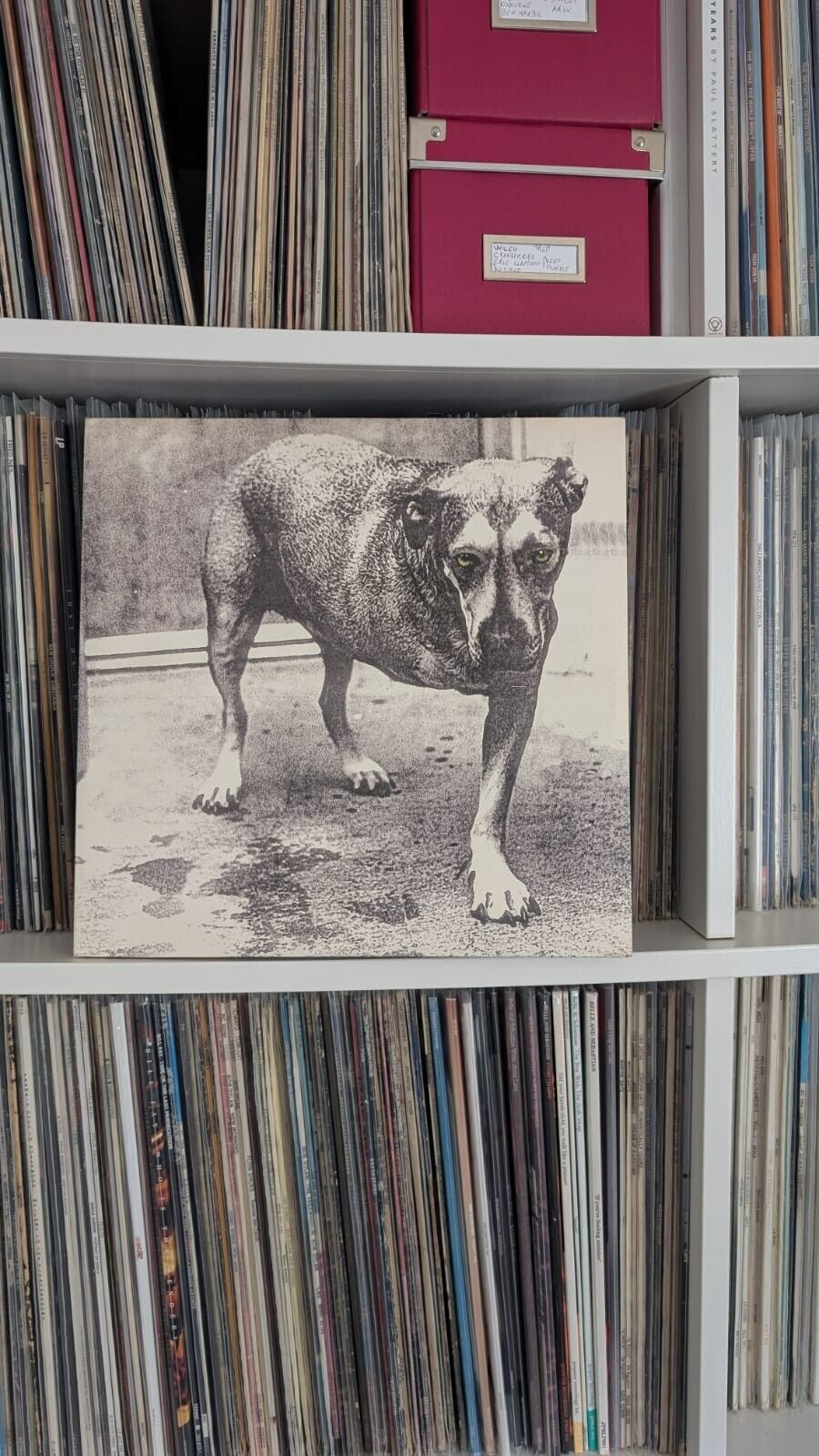 ALICE IN CHAINS LP OMONIMO 2LP NEAR MINT 7464-67248  RARO CONDIZIONI PERFETTE