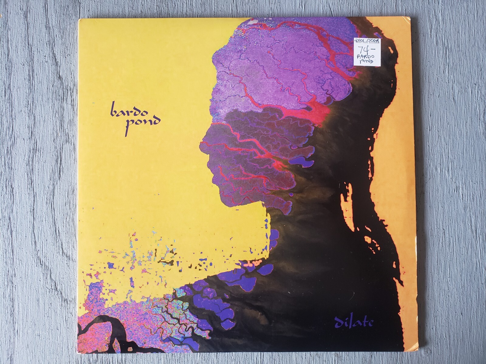 BARDO POND Dilate MATADOR 2001 Space Rock VG  VINYL 2xLP Record USED