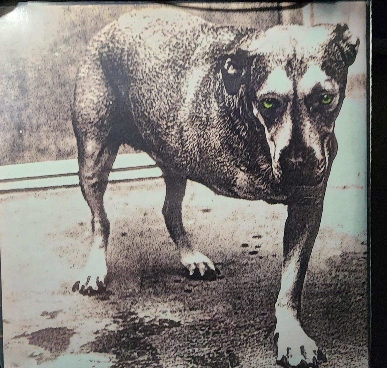 ALICE IN CHAINS - 2 LP COLORED VINYL -  SELF TITLED - UK REISSUE