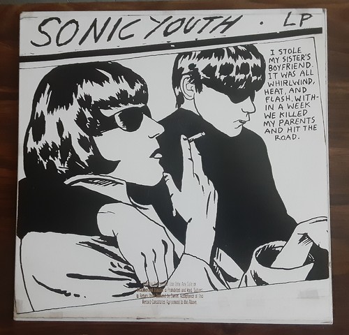 SONIC YOUTH Goo LP Original 1990 Promotional Press J Mascis Thurston Kim Lee