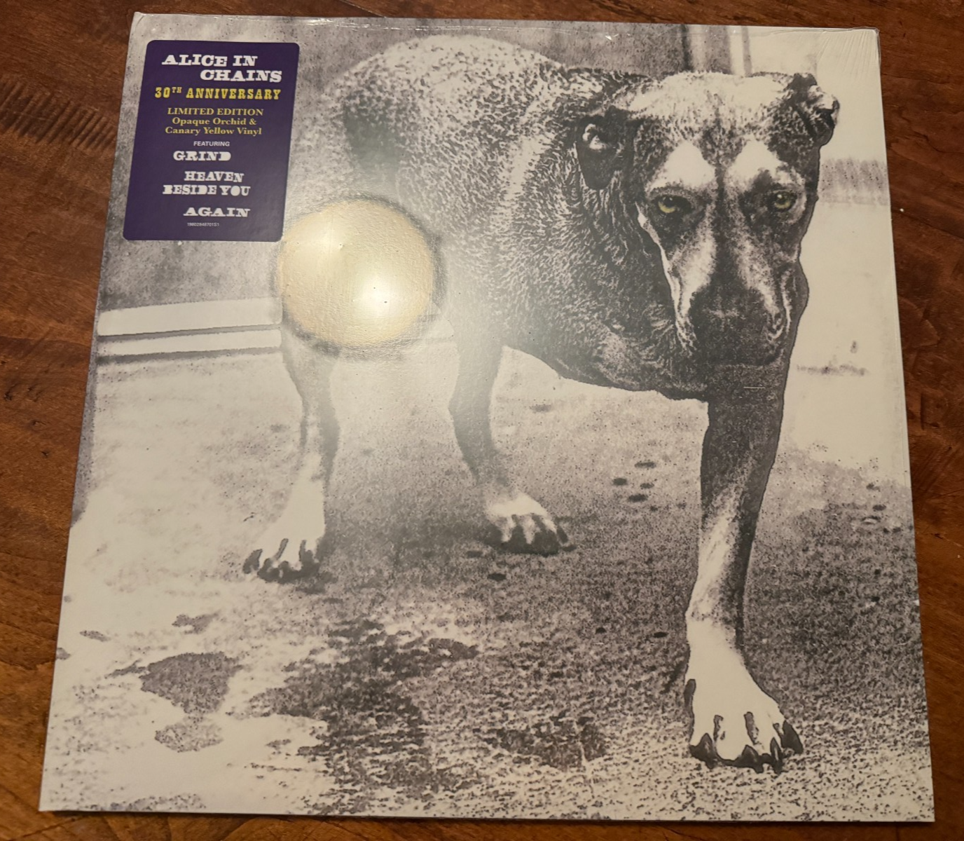 Alice in Chains 2LP Purple   Yellow Swirl Self-Titled D2C Excl. Vinyl Record NEW
