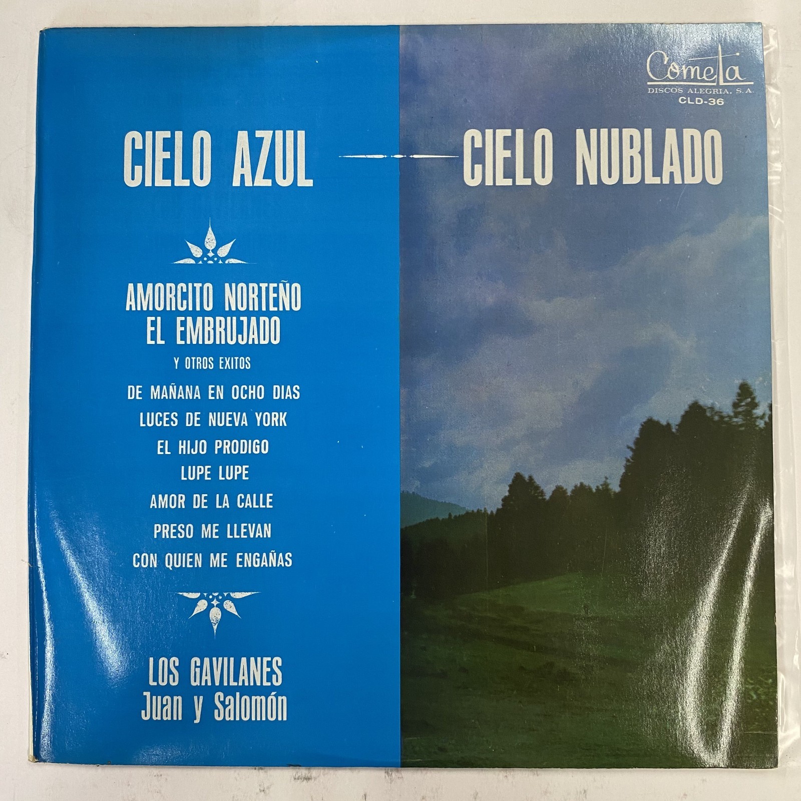 LOS GAVILANES JUAN Y SALOMON -CIELO AZUL CIELO NUBLADO- 1976 MEXICAN LP, NORTE  O