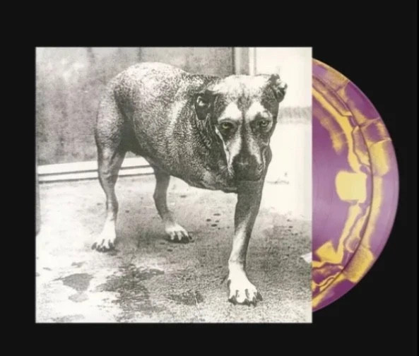 SOLD OUT Alice in Chains Self Titled 30th D2C Exclusive 2LP Vinyl New Sealed