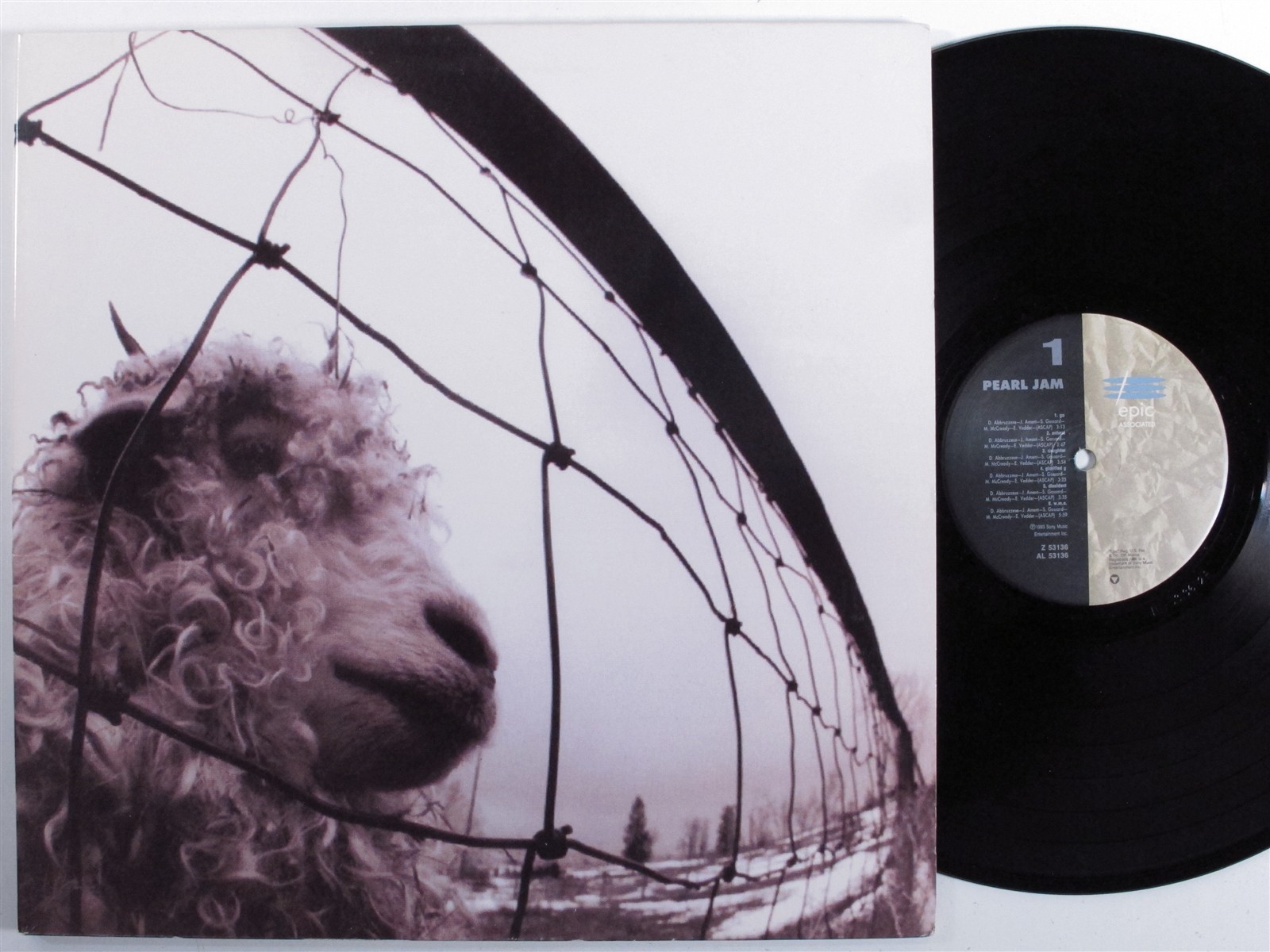 PEARL JAM Self Titled EPIC Z-53136 LP VG /VG   1st pressing gatefold n