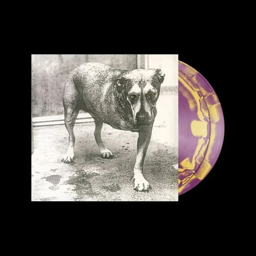 Alice in Chains Purple   Yellow Swirl Self-Titled 30th Anniversary LP  SOLD OUT 